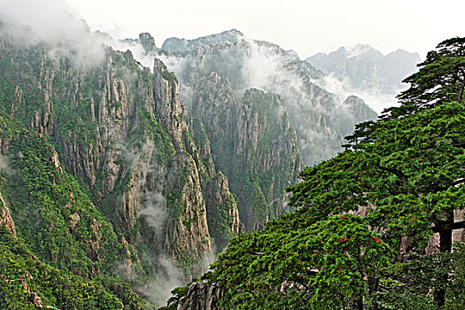 什么药叫人吃了会听话C1B8D97C5-18975